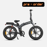 Ebike ENGWE X20 GARANZIA ITALIA | Motore 750W (1000W picco | 48V 14.4Ah+7.8Ah doppia batteria Bici a pedalata assistita