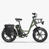 Fiido T1 Pro - Cargo Bici Elettrica Fat Bike Utility